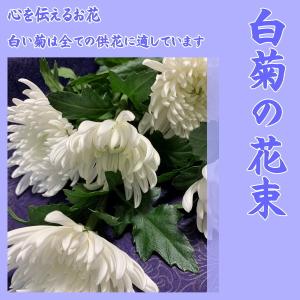 白菊の花束 大輪 10本の詳細画像1