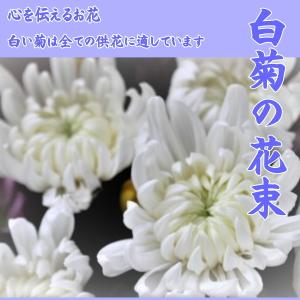 白菊の花束 大輪 10本の詳細画像2