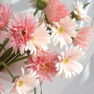 かわいい ガーベラの花束 ほしい数だけキュートが束ねられるガーベラ