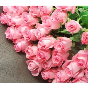 ピンク薔薇 欲しい数だけ花束 オール4ラブ ピ...の詳細画像2
