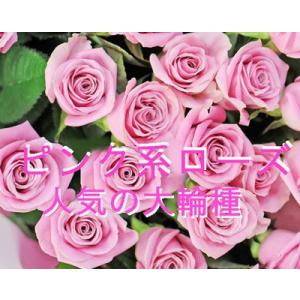ピンク薔薇 欲しい数だけ花束 オール4ラブ ピ...の詳細画像3