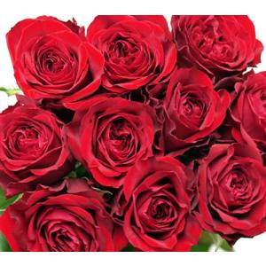 あこがれの赤薔薇 欲しい数だけ花束