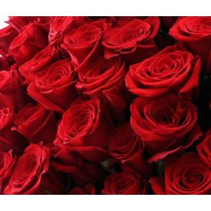 あこがれの赤薔薇 欲しい数だけ花束の詳細画像4