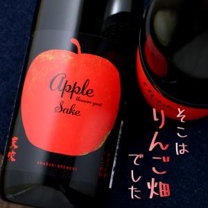 天吹　純米大吟醸 りんご酵母 720ml 佐賀県 天吹酒造