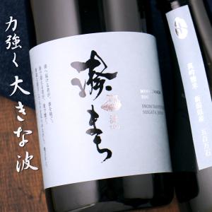 湊まち みなとまち 濤 とう 新潟県産五百万石 720ml 新潟 今代司酒造