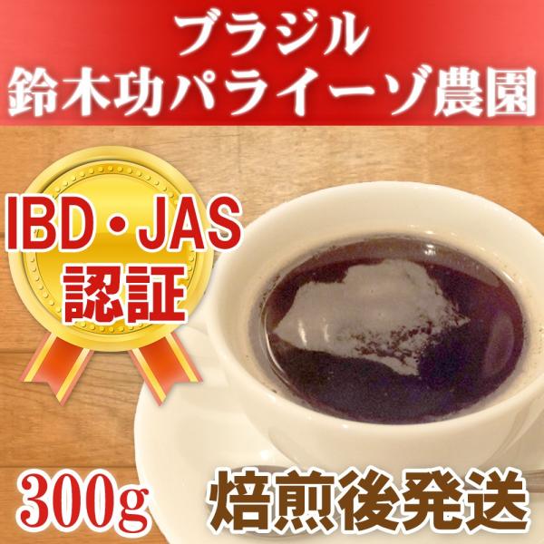 コーヒー コーヒー豆 自家焙煎 有機栽培 シングルオリジン ブラジル 300g 山科工房 珈琲 珈琲...