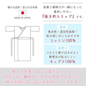 【1枚までメール便送料無料】和装下着 衿抜きす...の詳細画像1