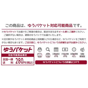 【1枚までメール便送料無料】和装下着 衿抜きす...の詳細画像5