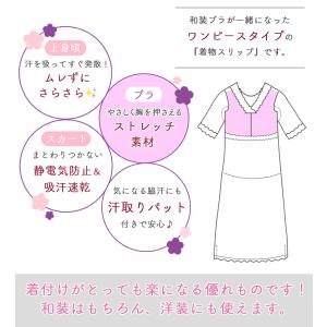 【1枚までメール便送料無料】和装下着 和+ぶら...の詳細画像1