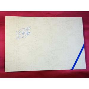 A3 クリーム 虹箔文字入り 表紙 50枚収納用 賞状ファイル