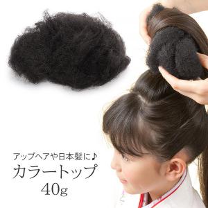 カラートップ ヘアートップ 40g 毛たぼ すき毛 自然色