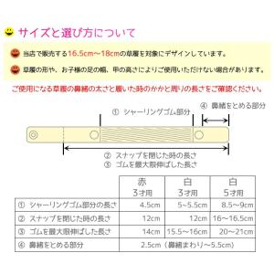 草履でも、ころバンド 2本組 草履の滑り止めベ...の詳細画像2