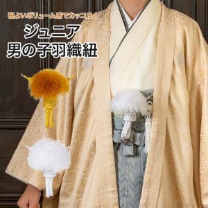 羽織紐 ビーズ羽織紐 ビーズタイプ 青 赤 黒 銀 金 普段着 羽織 着物