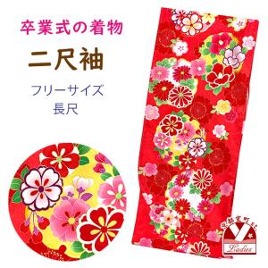二尺袖着物 森英恵-HANAE MORI- ショート丈 洗える着物 色無地の着物