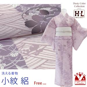 洗える着物 絽 小紋 HL(アッシュ・エル) 夏用の着物 フリーサイズ