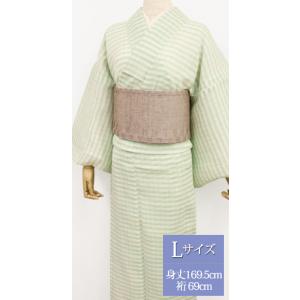 夏 着物 麻 近江ちぢみ プレタ 洗える 仕立て上がり Lサイズ ボーダー