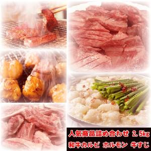 バーベキュー 肉 焼肉セット 詰め合わせ2.5kg (中落ちカルビ500g×2 牛すじ1kg ホルモン500g )   国産 和牛 焼き肉