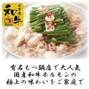 ホルモン 500g （送料別） もつ鍋 焼き肉 牛ホルモン 国産