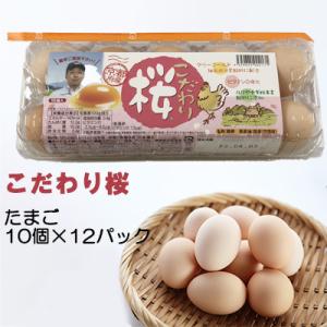 ●こだわり桜 10個×12パック 卵 玉子 たまご タマゴ 送料無料 41004｜kyoto23