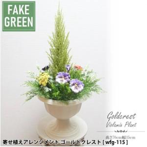 ゴールドクレスト 寄せ植えの商品一覧 通販 Yahoo ショッピング