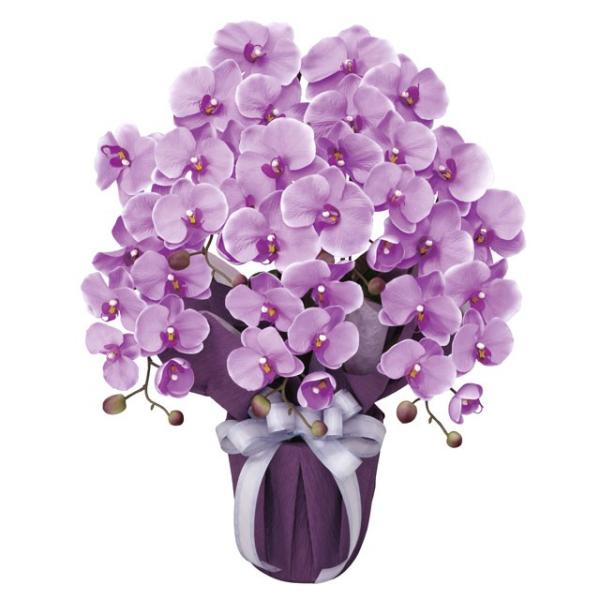 ●光の楽園 (453A80-80) エレガント胡蝶蘭L 送料無料 92655