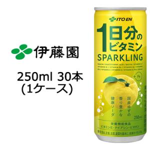 【8月末まで大特価！激安！値下げ中！】 伊藤園 1日分のビタミン スパークリング 250ml 缶 ×30本 送料無料 49857