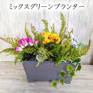 壁飾り 観葉植物 お花壁飾り 壁掛けインテリア ウォールディスプレイ