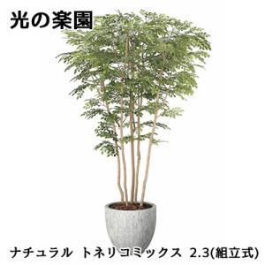 ● 光の楽園 (2607A1850) ナチュラル トネリコ ミックス 2.3(組立式) 造花 人工 観葉植物 フェイクグリーン光触媒 送料無料 94310