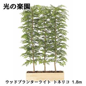 ● 光の楽園 (2610A1500) ウッドプランター ライト トネリコ 1.8m 造花 人工 観葉植物 フェイクグリーン光触媒 送料無料 94311
