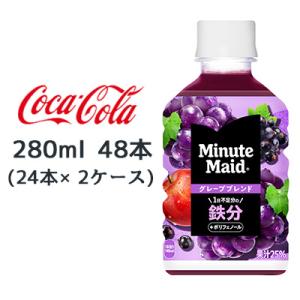 【個人様購入可能】● コカ・コーラ ミニッツメイド グレープブレンド 鉄分 280ml PET 48...