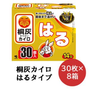 【法人・企業様限定販売】 小林製薬 桐灰 カイロ  貼る 30枚×8箱 使いすてカイロ 送料無料 06069｜kyoto33