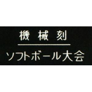 彫刻　（機械彫り） 武道具　大会表彰用