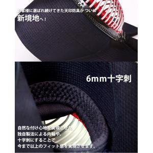 ミツボシ 天 防具セット 6mm十字刺 天(て...の詳細画像1