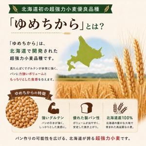 強力粉 前田産業 ゆめちから 25kg 北海道...の詳細画像3