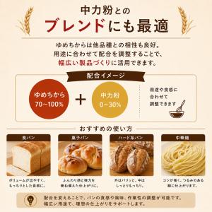 強力粉 前田産業 ゆめちから 25kg 北海道...の詳細画像4