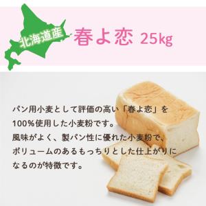 強力粉 前田産業 春よ恋 25kg 北海道産小...の詳細画像1