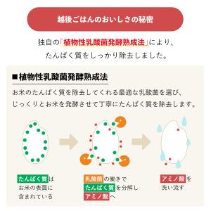 低タンパク米 1/12.5越後米粒タイプ 10...の詳細画像4