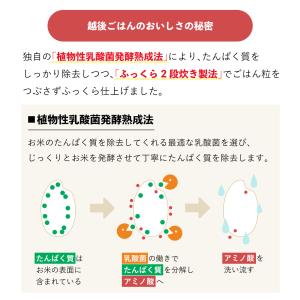 低たんぱく米 1/25越後ごはん 1パック(1...の詳細画像2