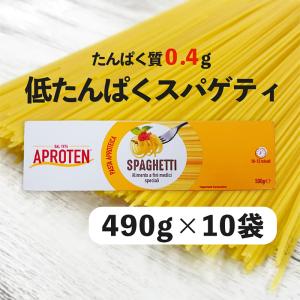 低たんぱく麺 腎臓病食 アプロテン スパゲッティタイプ 1ケース 低タンパク麺 減塩