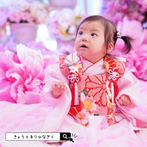 着物 ベビー 初節句 １歳 被布セット 女の子 雛祭り ひなまつり