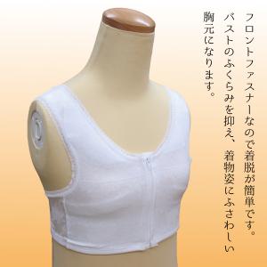 和装ブラ 和装ブラジャー 大きいサイズ ぽっち...の詳細画像1