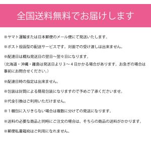 和装ブラ 和装ブラジャー 大きいサイズ ぽっち...の詳細画像5