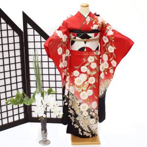 振袖 中古 フルセット 正絹 一式 成人式 格安 良品