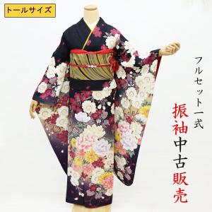 振袖フルセット【ta2201】成人式 正絹【黒】蝶【中古】 振袖フルセット【ta2201】成人式 正絹【黒】蝶【中古】 振袖フル