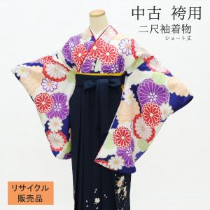 美品　高級　振袖　綸子　正絹　ネイビー 振袖 中古 正絹 格安 安い 美品 リサイクル 黄緑 ひわ色 古典