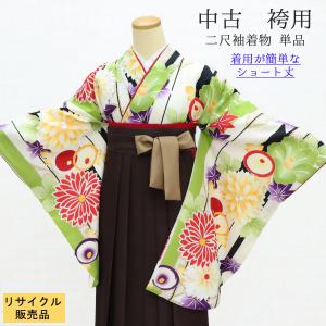 袴用きもの 二尺袖 小振袖 中古 単品 リサイクル 格安 美品 仕立て