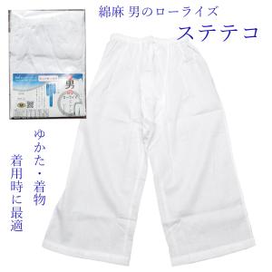 ステテコ メンズ 男性用 綿麻 夏用 浴衣 着物 作務衣 下履き M L 涼しい ローライズ 和装下着 肌着 井登美 日本製 楊柳 白 トントン