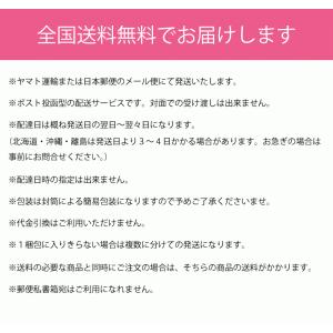 肌襦袢 肌着 メンズ 男肌着 紳士 綿 高島さ...の詳細画像5