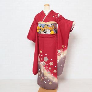 振袖レンタル 成人式 フルセット 1月 赤 熨斗柄 辻が花風 古典的 紫