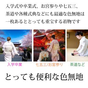 東レ シルック 色無地 シルックきもの 洗える...の詳細画像1